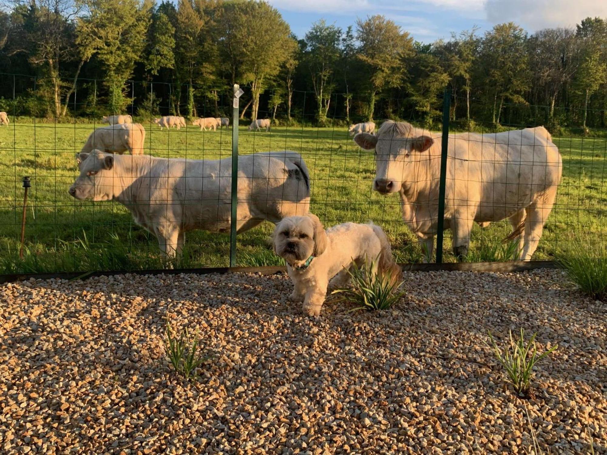 Brit Hotel Lannion-Perros Guirec Exterior foto